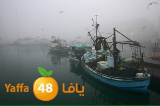 dabab yaffa3j (4).jpg